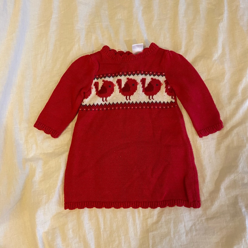 Infant Girl Gymboree Sweater Dress